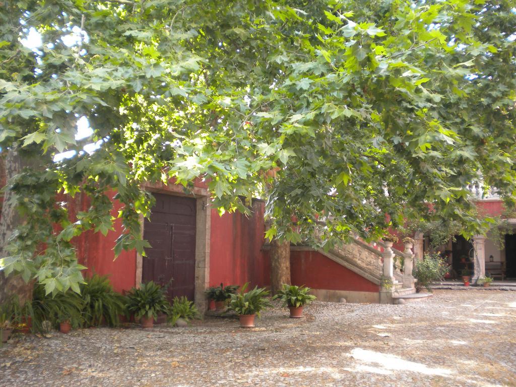 Casa Dos Vargos Bed and Breakfast Torres Novas Buitenkant foto