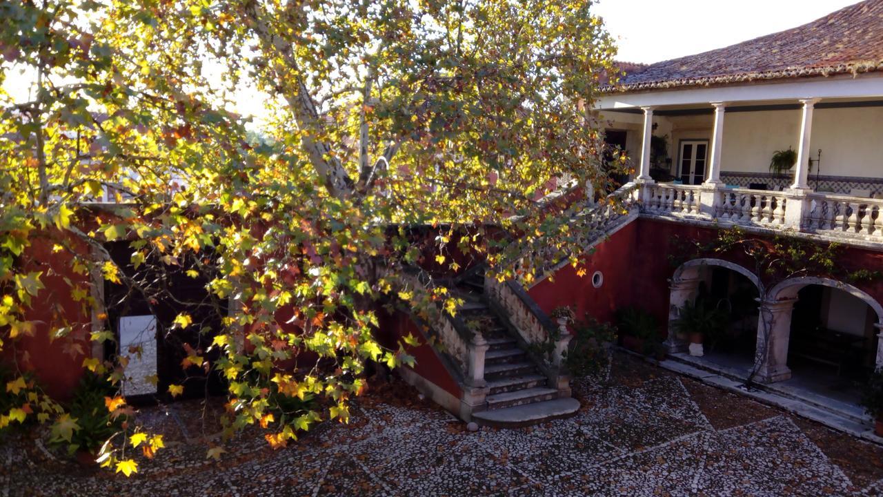 Casa Dos Vargos Bed and Breakfast Torres Novas Buitenkant foto